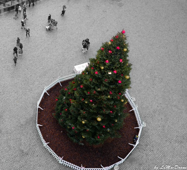 Grand Place de Bruxelles décembre 2020